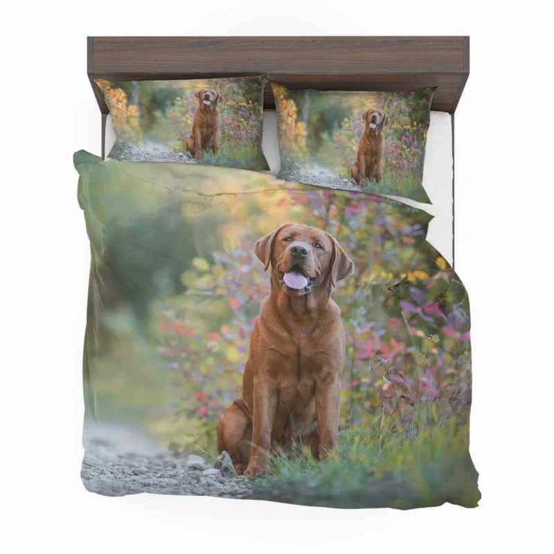 Fourfold Elegance: Labrador Depth of Field Bedding Set 1