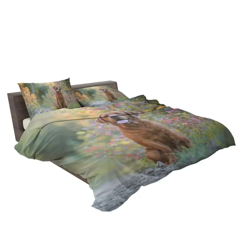 Fourfold Elegance: Labrador Depth of Field Bedding Set 2