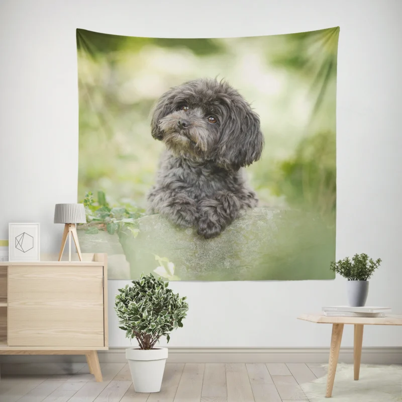 Fourfold Elegance  Poodle Quartet Wall Tapestry