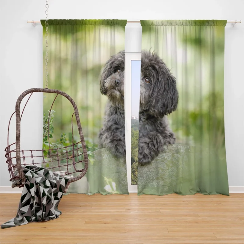 Fourfold Elegance: Poodle Quartet Window Curtain