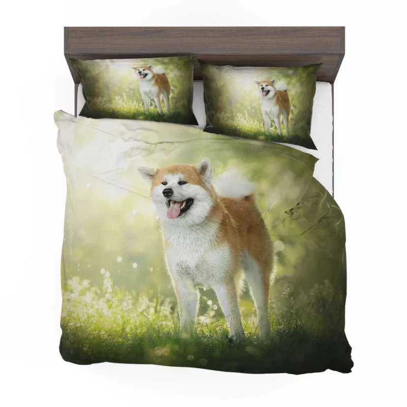 Fourfold Elegance: The Akita Quartet Bedding Set 1