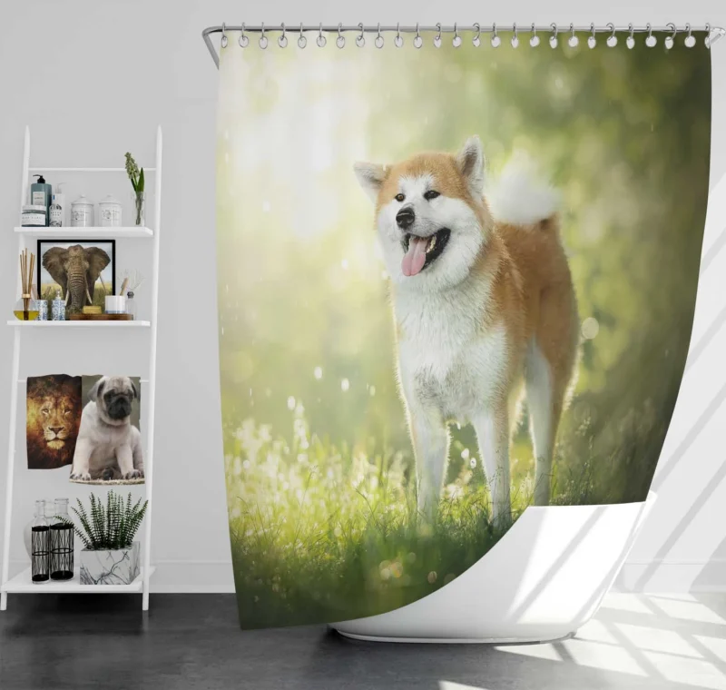 Fourfold Elegance: The Akita Quartet Shower Curtain