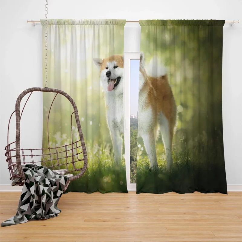 Fourfold Elegance: The Akita Quartet Window Curtain