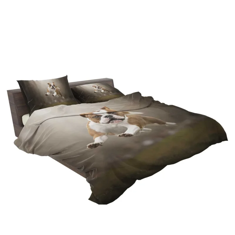 Fourfold English Bulldog Beauty: English Bulldog Quartet Bedding Set 2