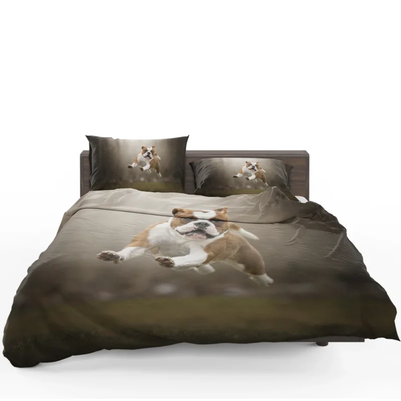 Fourfold English Bulldog Beauty: English Bulldog Quartet Bedding Set