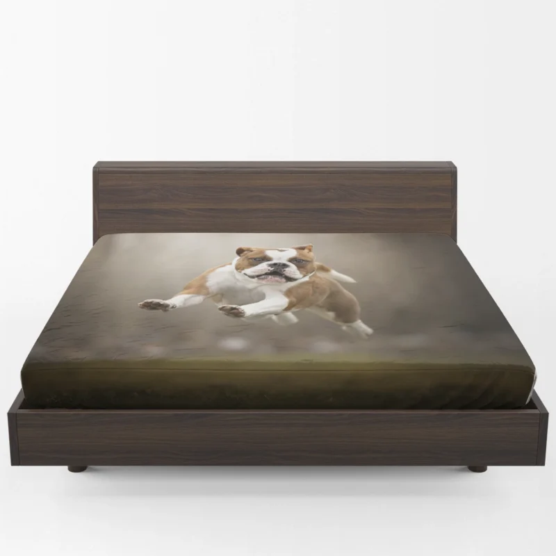 Fourfold English Bulldog Beauty: English Bulldog Quartet Fitted Sheet 1