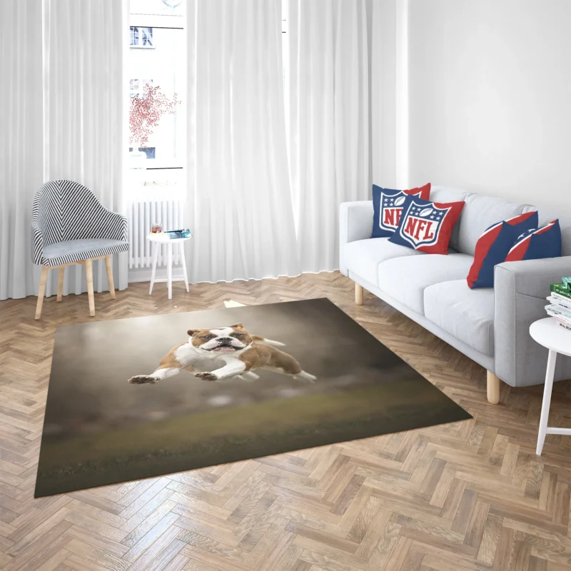 Fourfold English Bulldog Beauty: English Bulldog Quartet Floor Rug 2