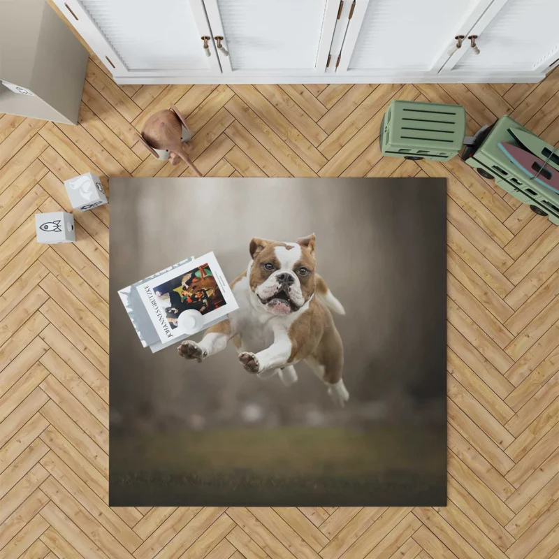 Fourfold English Bulldog Beauty: English Bulldog Quartet Floor Rug