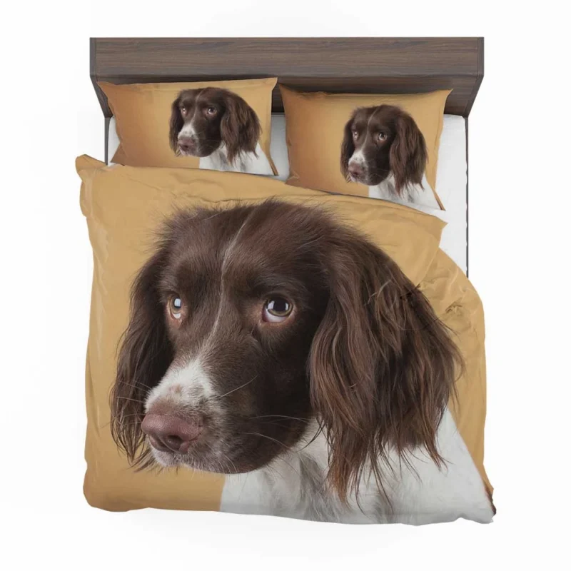 Fourfold English Springer Spaniel Charm: Quartet Bedding Set 1