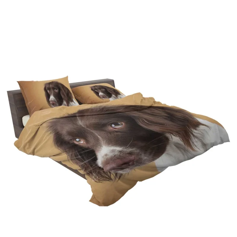 Fourfold English Springer Spaniel Charm: Quartet Bedding Set 2