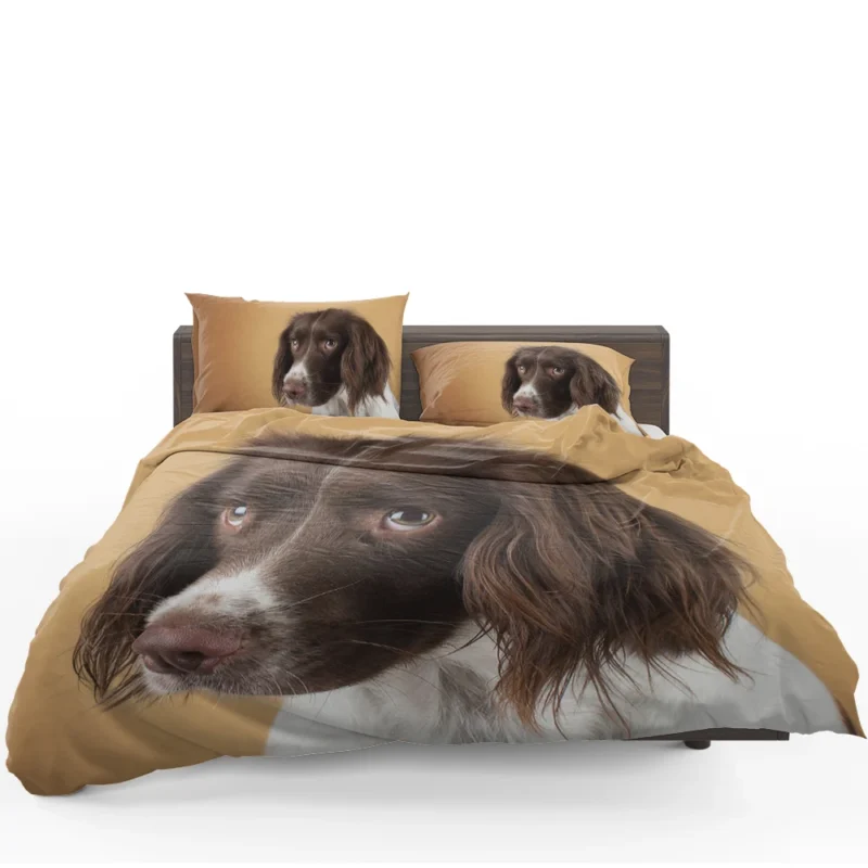 Fourfold English Springer Spaniel Charm: Quartet Bedding Set