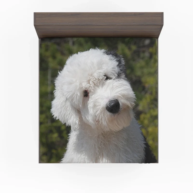 Fourfold Fluffiness: Old English Sheepdog Quartet Fitted Sheet