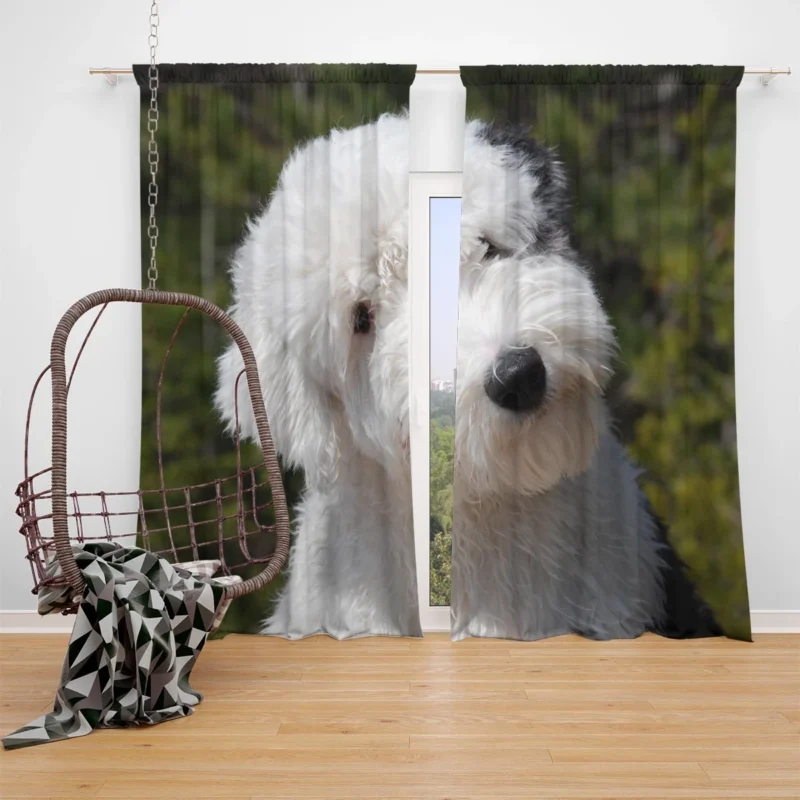 Fourfold Fluffiness: Old English Sheepdog Quartet Window Curtain