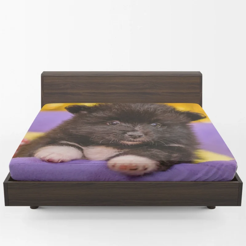 Fourfold Fluffiness: Pomeranian Quartet Fitted Sheet 1