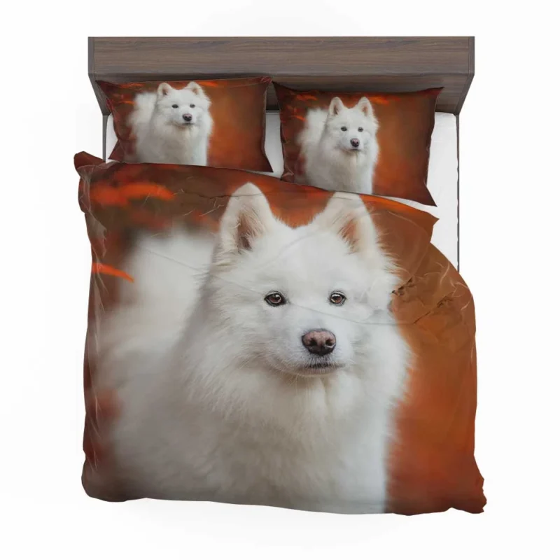 Fourfold Fluffiness: Samoyed Quartet Bedding Set 1