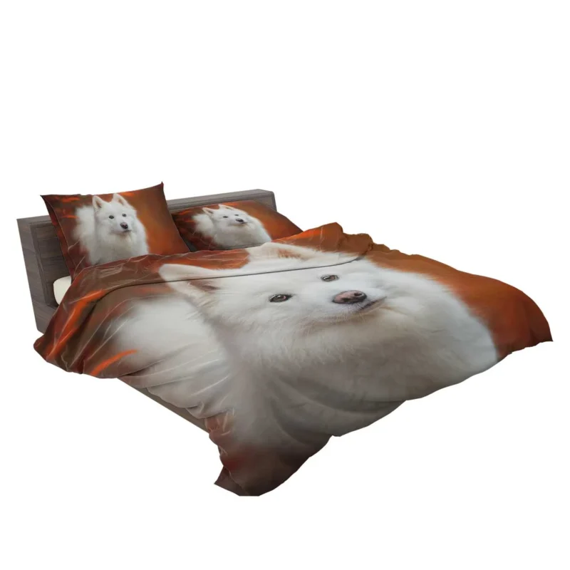 Fourfold Fluffiness: Samoyed Quartet Bedding Set 2