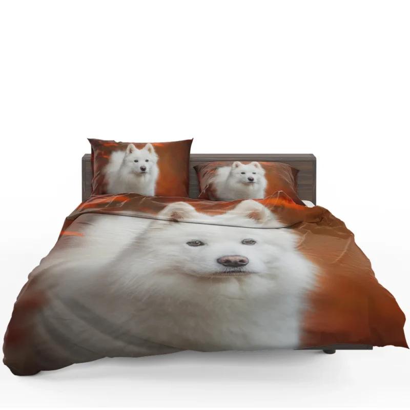 Fourfold Fluffiness: Samoyed Quartet Bedding Set