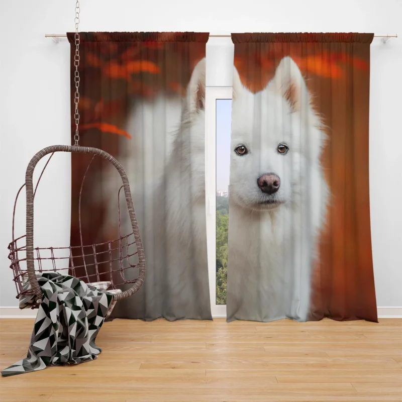 Fourfold Fluffiness: Samoyed Quartet Window Curtain