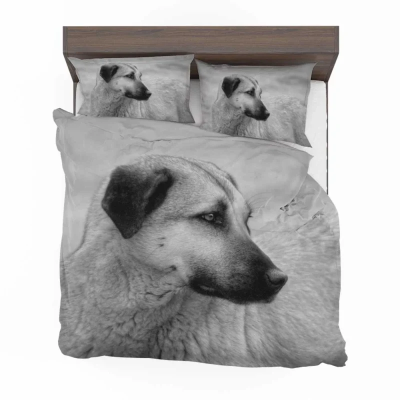 Fourfold Guardian Majesty: Kangal Shepherd Dogs Bedding Set 1