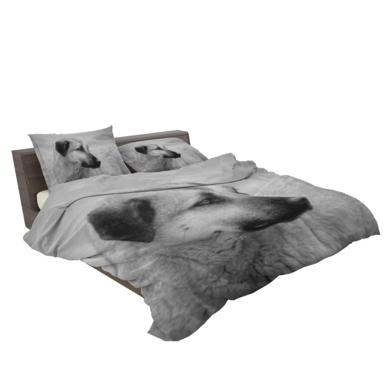 Fourfold Guardian Majesty: Kangal Shepherd Dogs Bedding Set 2