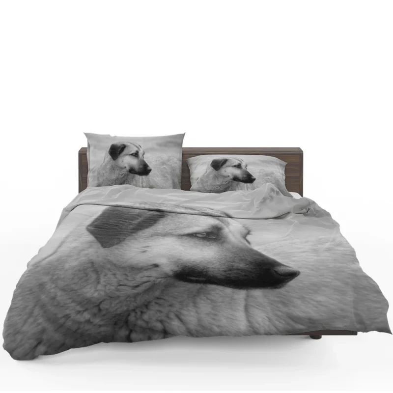 Fourfold Guardian Majesty: Kangal Shepherd Dogs Bedding Set