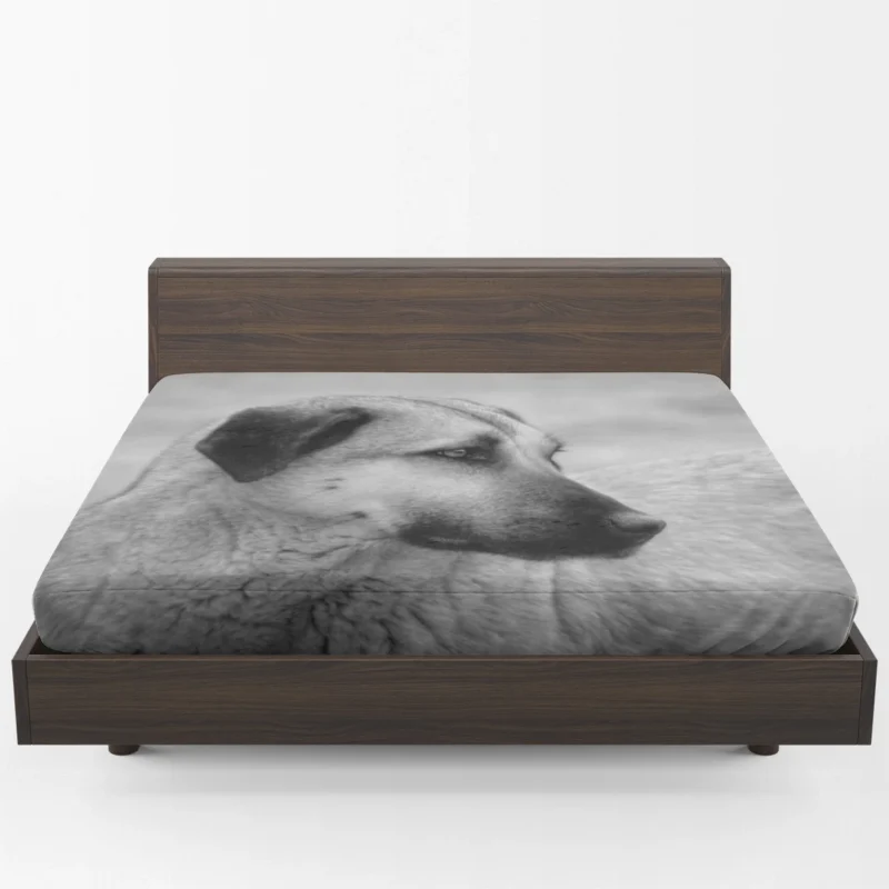 Fourfold Guardian Majesty: Kangal Shepherd Dogs Fitted Sheet 1