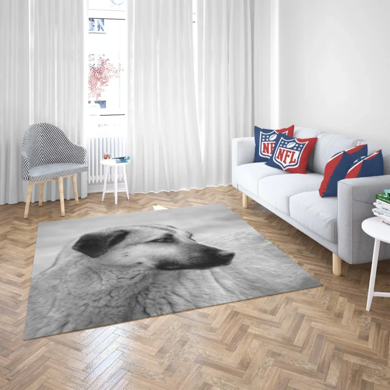 Fourfold Guardian Majesty: Kangal Shepherd Dogs Floor Rug 2