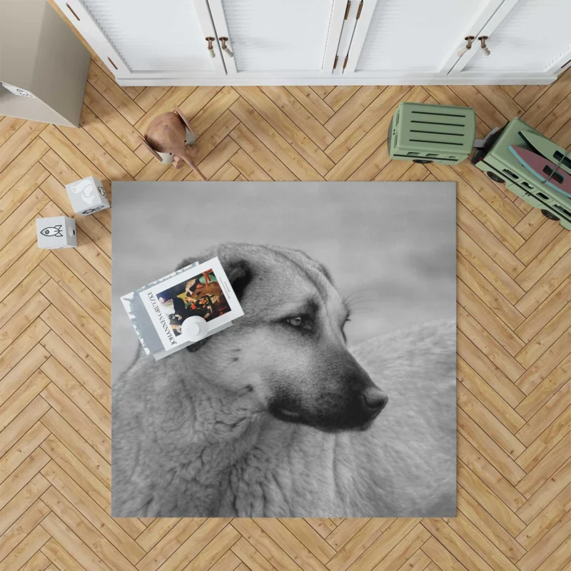 Fourfold Guardian Majesty: Kangal Shepherd Dogs Floor Rug