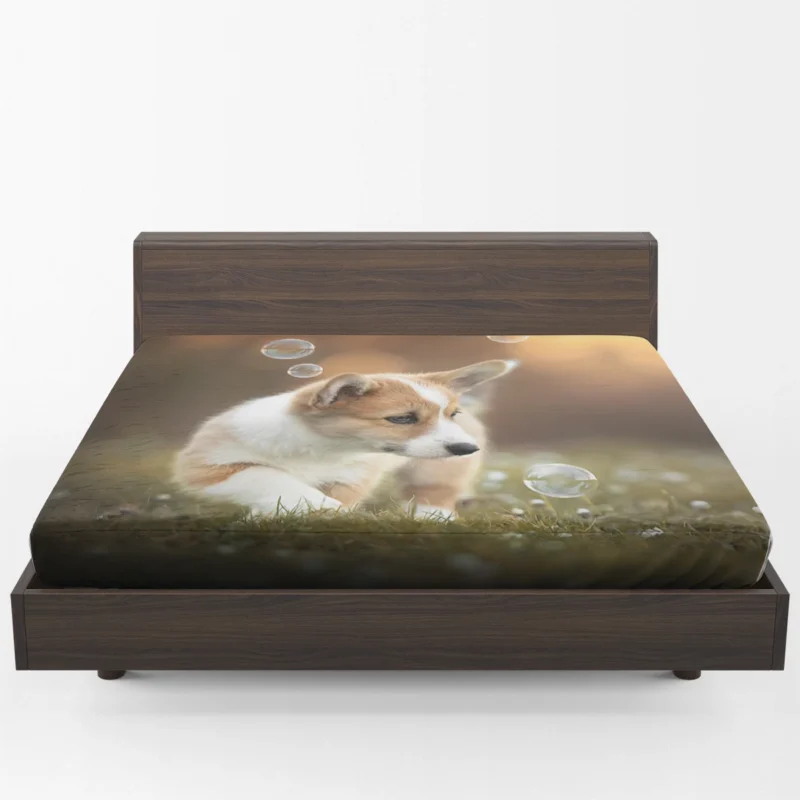 Fourfold Little Corgi Delight Quartet Fitted Sheet 1