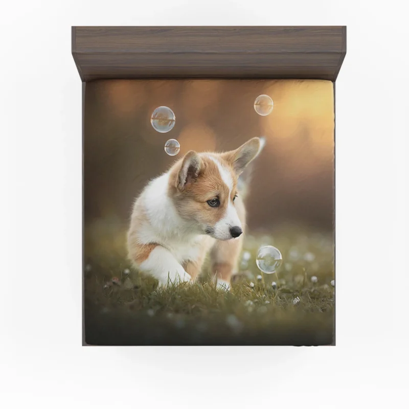 Fourfold Little Corgi Delight Quartet Fitted Sheet