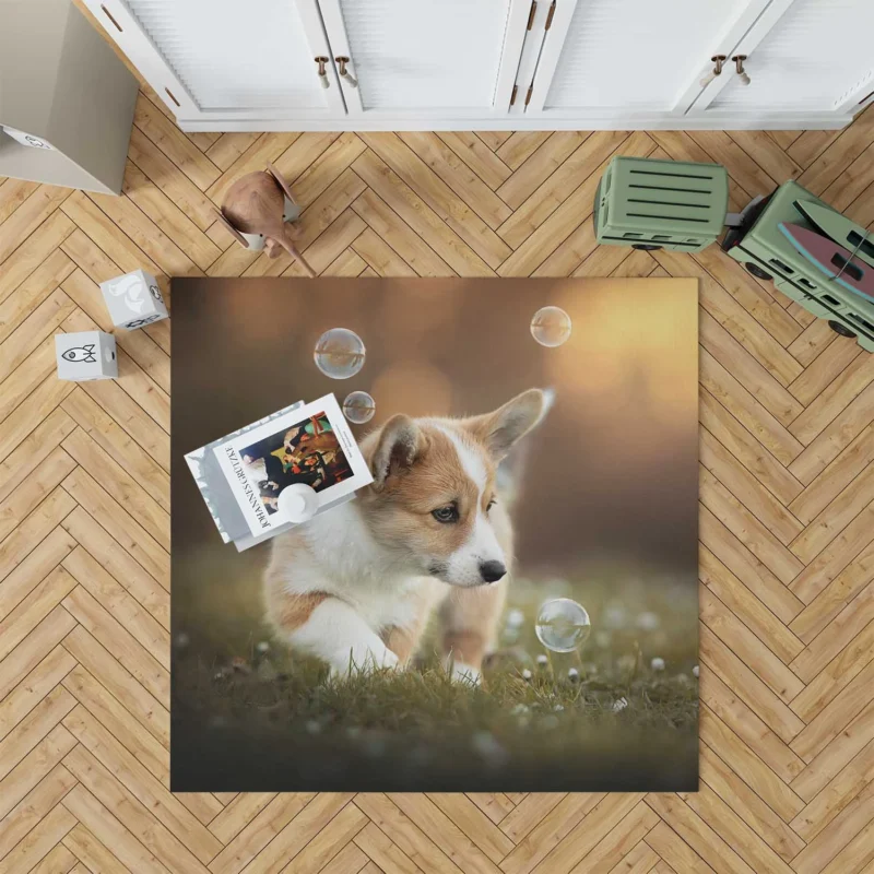 Fourfold Little Corgi Delight Quartet Floor Rug