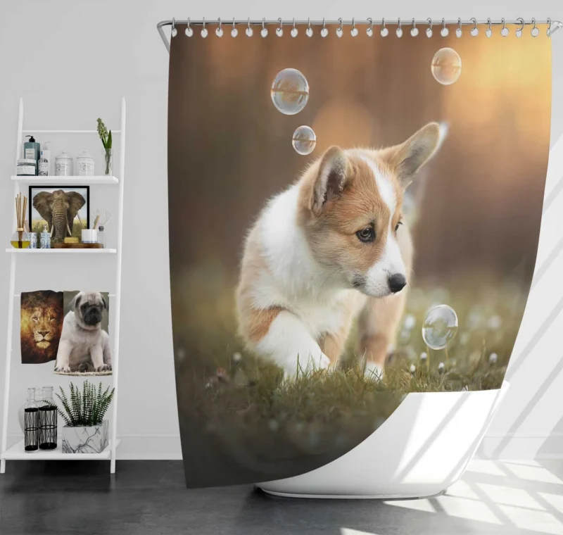 Fourfold Little Corgi Delight Quartet Shower Curtain