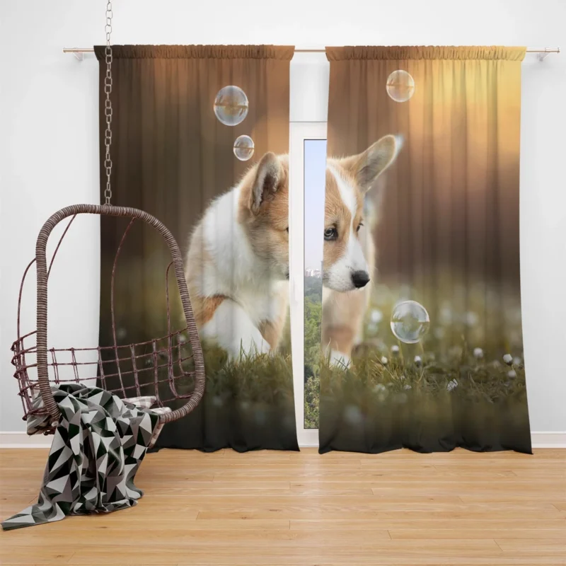 Fourfold Little Corgi Delight Quartet Window Curtain