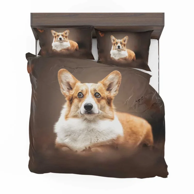 Fourfold Playful Corgi Delight Dog Quartet Bedding Set 1