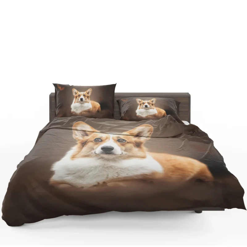Fourfold Playful Corgi Delight Dog Quartet Bedding Set