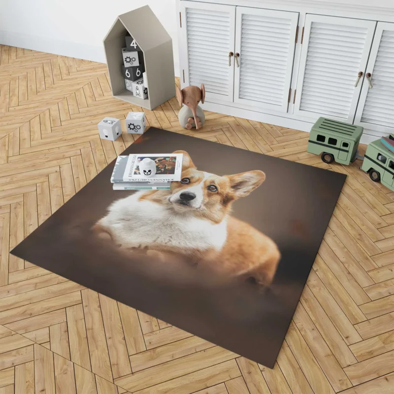 Fourfold Playful Corgi Delight Dog Quartet Floor Rug 1