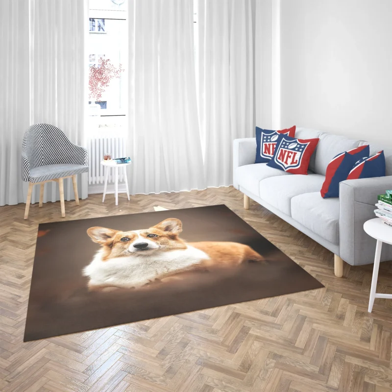 Fourfold Playful Corgi Delight Dog Quartet Floor Rug 2