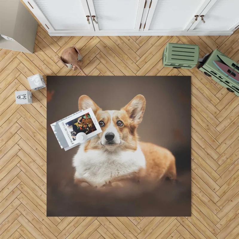 Fourfold Playful Corgi Delight Dog Quartet Floor Rug