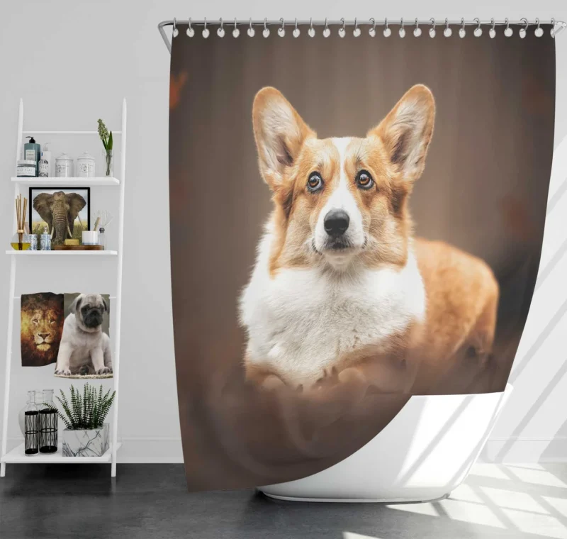 Fourfold Playful Corgi Delight Dog Quartet Shower Curtain