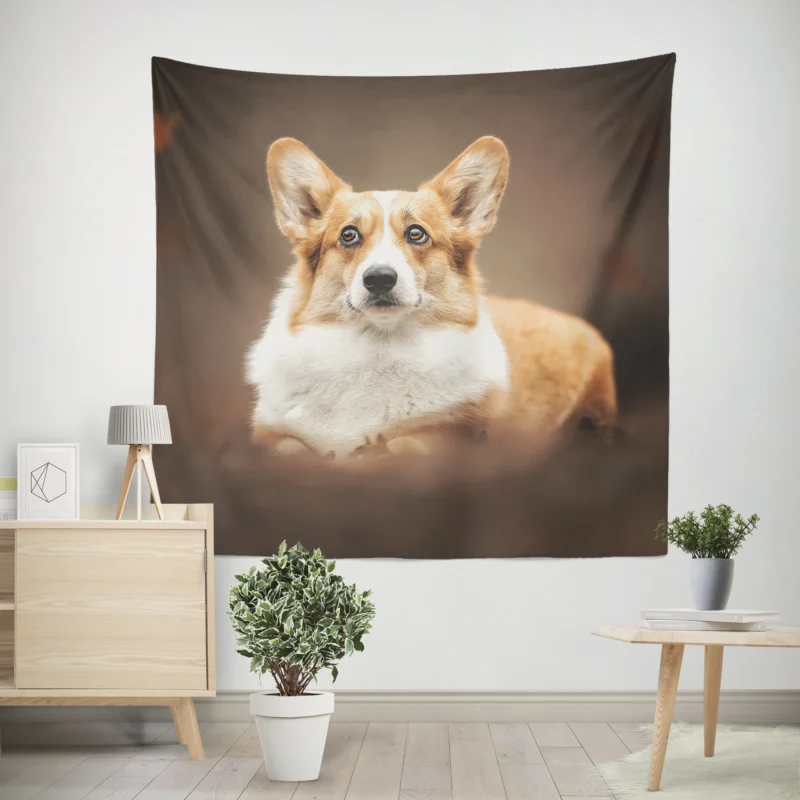 Fourfold Playful Corgi Delight Dog Quartet Wall Tapestry