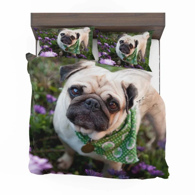 Fourfold Pug Charm: Pug Quartet Bedding Set 1