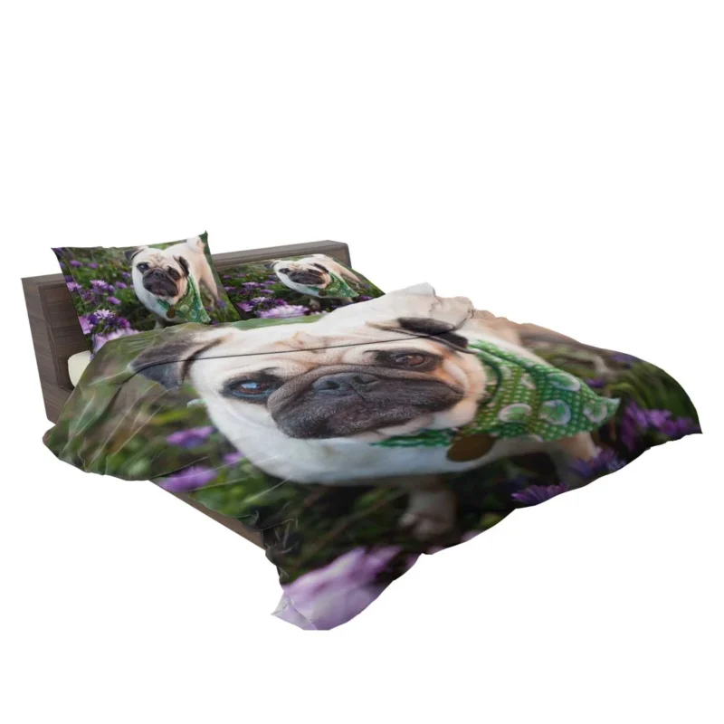 Fourfold Pug Charm: Pug Quartet Bedding Set 2