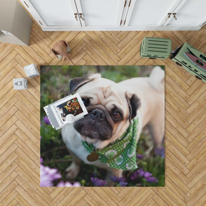 Fourfold Pug Charm: Pug Quartet Floor Rug