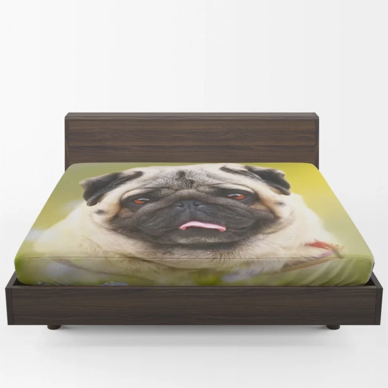 Fourfold Pug Majesty: Cute Pug Quartet Fitted Sheet 1