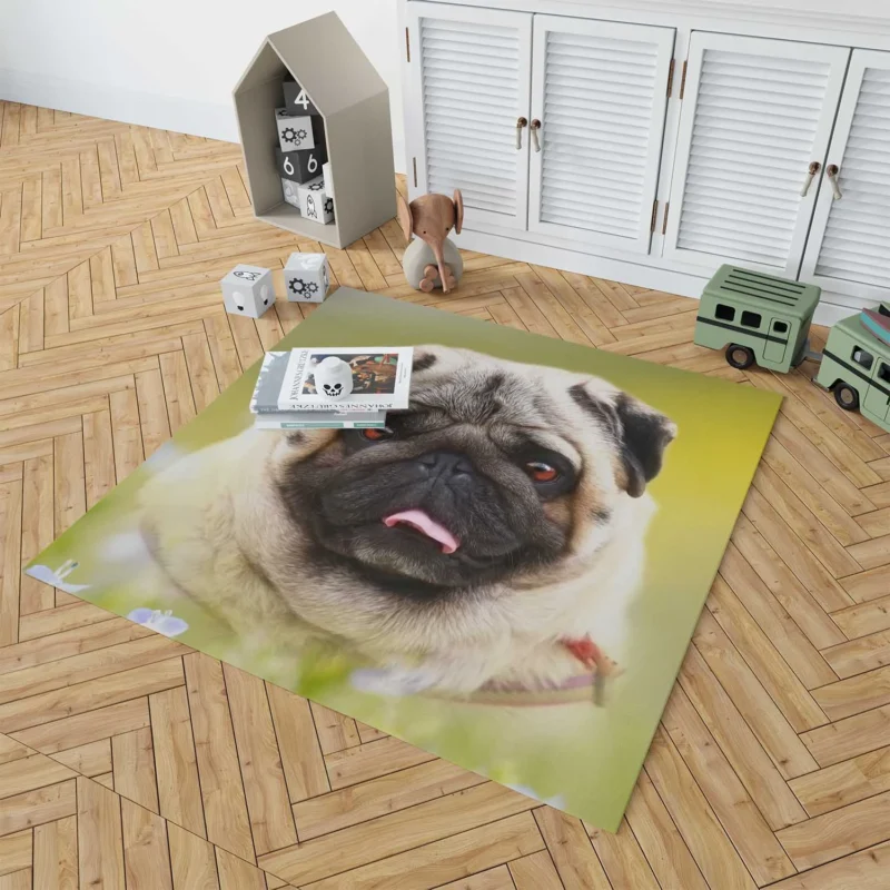 Fourfold Pug Majesty: Cute Pug Quartet Floor Rug 1