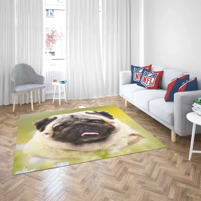 Fourfold Pug Majesty: Cute Pug Quartet Floor Rug 2