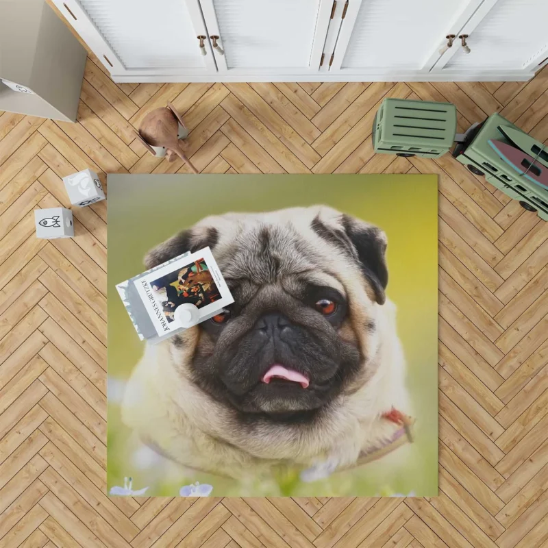 Fourfold Pug Majesty: Cute Pug Quartet Floor Rug