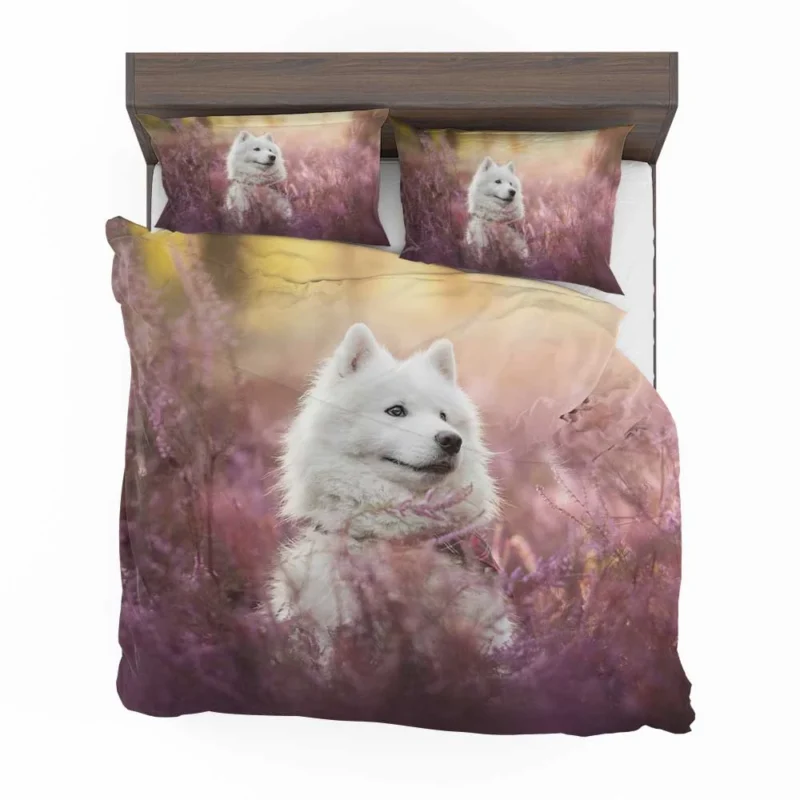 Fourfold Samoyed Majesty: Quartet Bedding Set 1