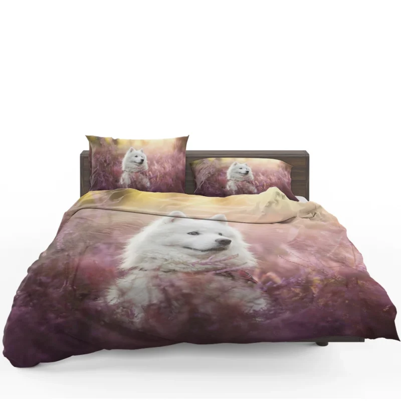 Fourfold Samoyed Majesty: Quartet Bedding Set