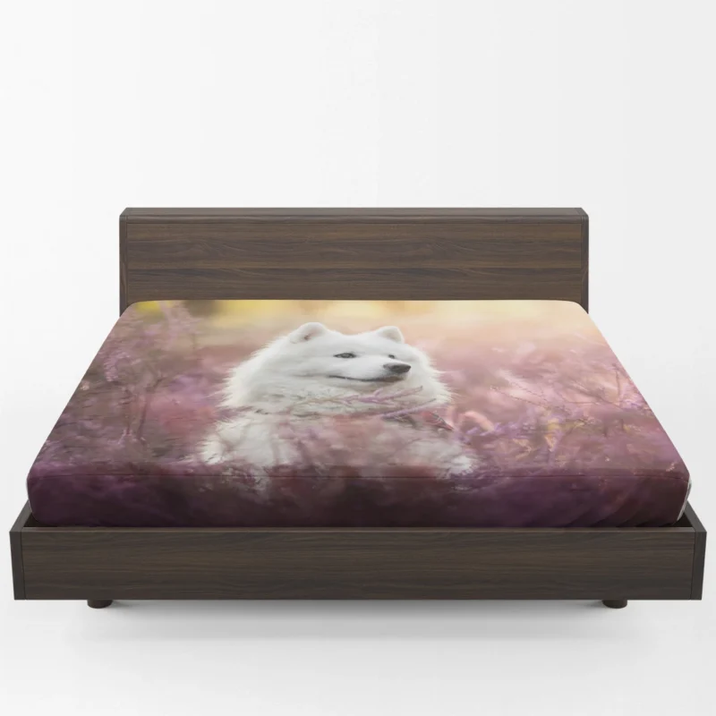 Fourfold Samoyed Majesty: Quartet Fitted Sheet 1